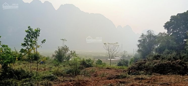 Cần bán 3176m2 có 400m2 TC tại xóm Ngành xã Liên Sơn, huyện Lương Sơn, view cánh đồng cao thoáng