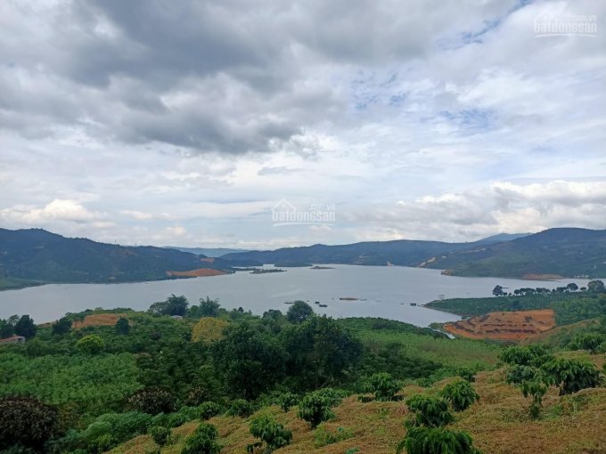 Bán lô đất view sông Đồng Nai ở thôn Hà Lâm, xã Liên Hà, huyện Lâm Hà, tỉnh Lâm Đồng