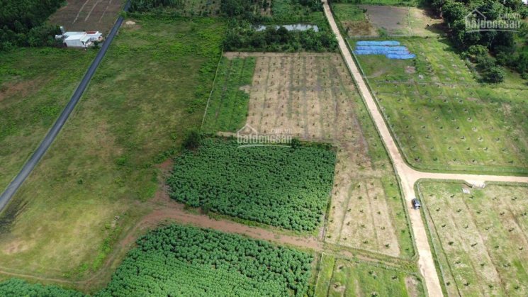 6 mẫu 3 Láng Lớn, gần cổng chào Châu Đức, MT 6m betong cách nhựa 100m