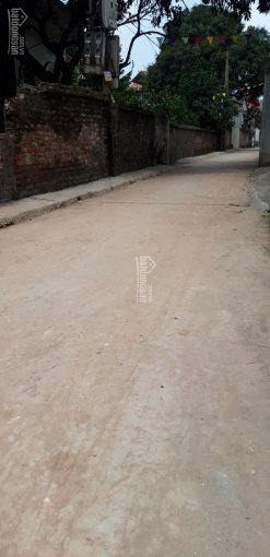 Chủ cần bán gấp đất Xã Phụng Châu cách KĐT Dương Nội, Đô Nghĩa 3 km. LH 0961225338