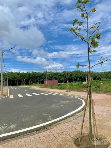 Đất ngay trung tâm tỉnh Bình Phước giá 6,7 tr/m2 - sổ riêng từng nền - công chứng ngay