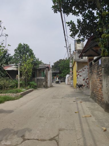 Đất thổ cư 100m2 thôn Vệ, Nam Hồng, dự án mở đường trước mặt