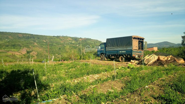 Đất thổ cư huyện Di Linh - view hồ Tây, hồ Kala, sông Đồng Nai