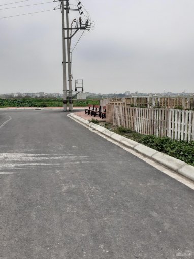 Cần bán lô 107m2 đất TC đi chung đường đất dịch vụ, có thể chia tách được 2 lô, 60tr/m2, đầu tốt