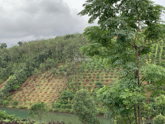 Lô đất view hồ 1.5ha cực đẹp giá chỉ 1 tỷ 3 tầm nhìn rộng tại huyện Dăk Song, tỉnh Đắk Nông