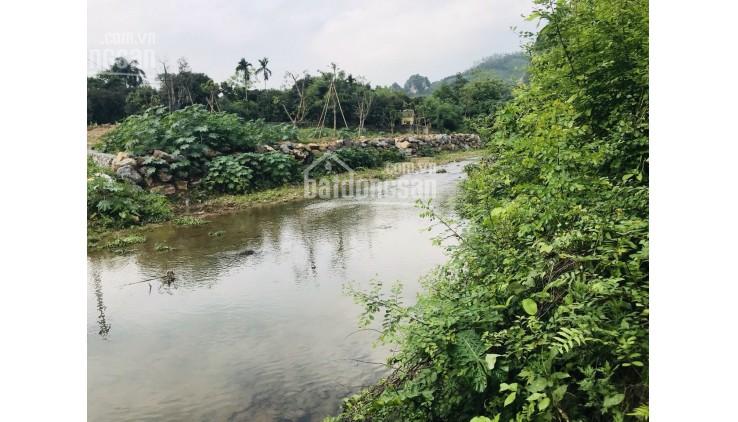 Bán 2300m2 đất thổ cư nghỉ dưỡng bám suối tại Lương Sơn - Hoà Bình giá chưa tới 1tr/m2