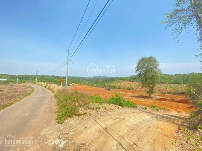 Bán đất xã Đồi Rìu - Hàng Gòn, TP. Long Khánh, giá bán 1.2 tỷ/sào, có HH giới thiệu cho môi giới