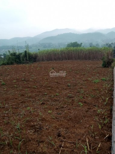 Bán đất Cao Phong, Hoà Bình gần 2000m2 thổ cư và vườn giá chỉ 340,000đ/m2