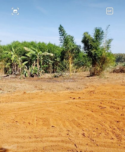 Bán đất vườn tại xã Láng Lớn, huyện Châu Đức, BRVT, DT: 3000m2 giá 700 triệu / 1000m2LH: 0707239439