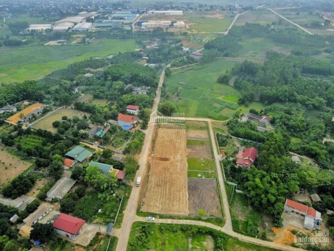 Chính chủ cần bán lô đất đấu giá tại Đa Nghệ - Thanh Thủy - Phú Thọ