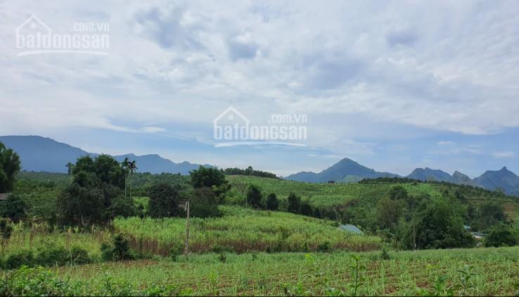 Bán thổ cư 6000m2 đất Cao Phong full cam view đẹp khu vực Cao Phong, Hòa Bình