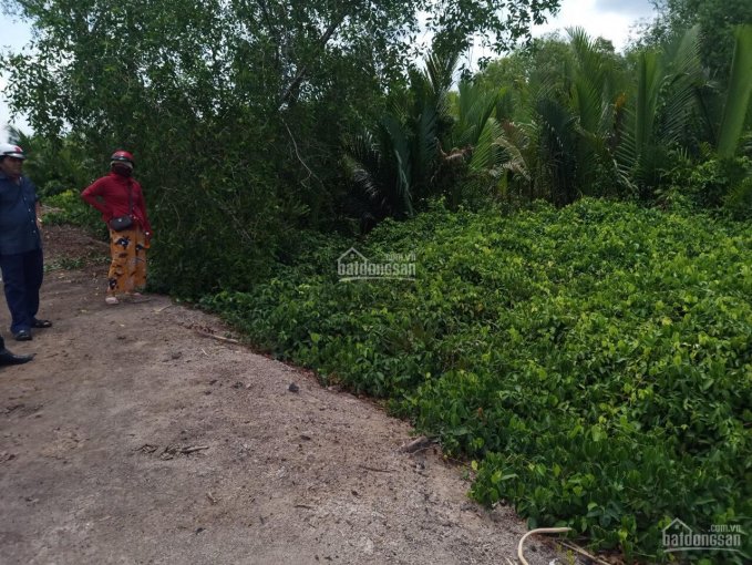 Bán nhanh lô đất 24000m2 xã Lý Nhơn, huyện Cần Giờ giá chỉ 500.000/m2