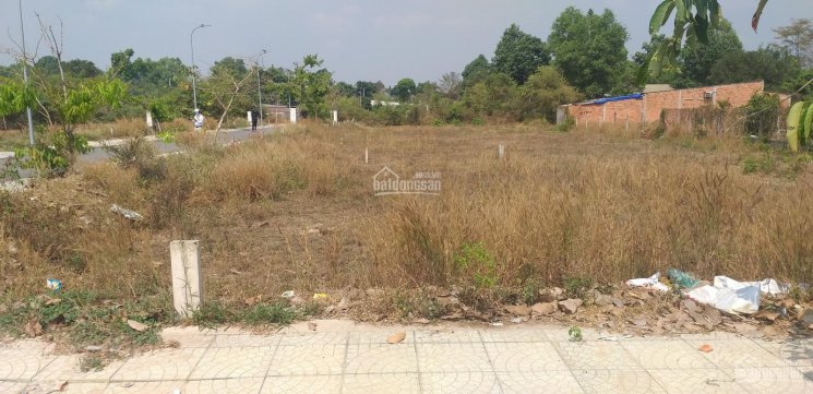 Bán đất thổ cư đường Nguyễn Thị Lắng gần chợ chiều Tân Phú Trung 5x20m, giá 1,63 tỷ