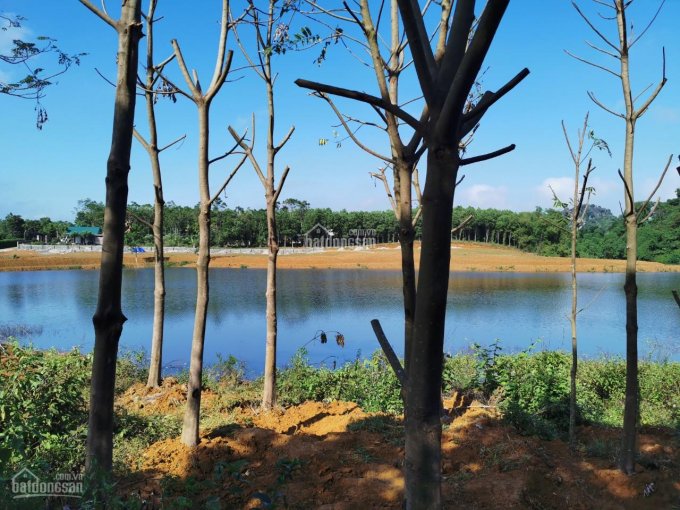 Cơ hội sở hữu ngay 7000m2 đất thổ cư bám mặt hồ tại Lương Sơn, Hòa Bình