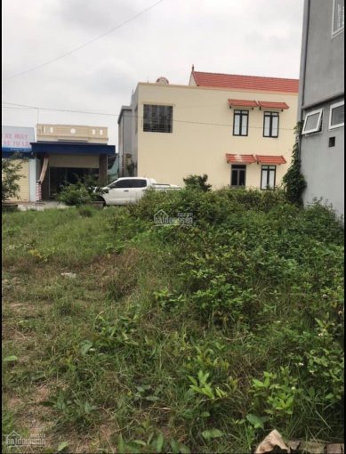 Bán đất khu chung cư Đại Đồng, Kiến Thụy, HP