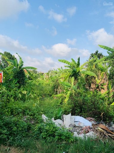 Bán lô đất duy nhất cho nhà đầu tư giá chỉ 800 triệu tại Minh Đức, Đồ Sơn, Hải Phòng