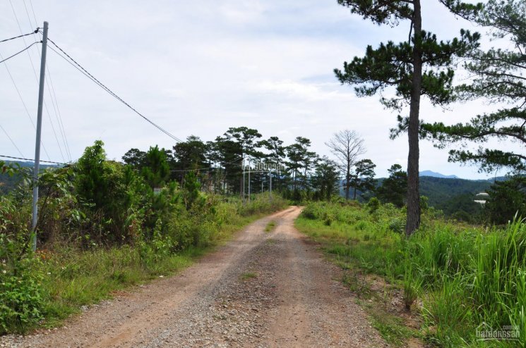 Cần bán 15 hecta đất đẹp Păng Tiên - ngay Đà Lạt - giá tốt - view đồi núi