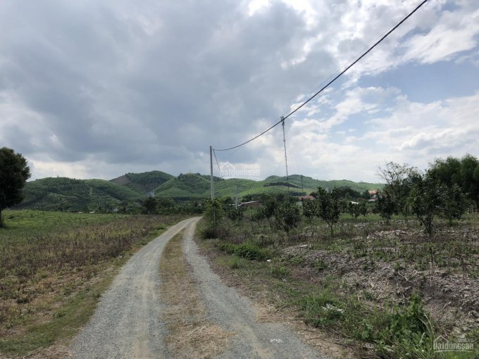 Bán lô đất 3 hecta gần UBND xã Khánh Nam, giá bao rẻ, đầu tư sinh lời, phù hợp kinh doanh chăn nuôi