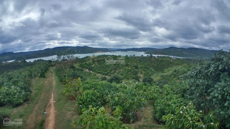 Bán 19318m2 đất view sông Đồng Nai, ở thôn Sình Công xã Liên Hà, huyện Lâm Hà, tỉnh Lâm Đồng