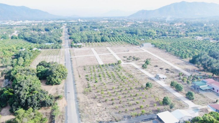 Duy nhất - Đất nền gần khu công nghiệp của Khánh Hòa full thổ cư chỉ 6 triệu/m2