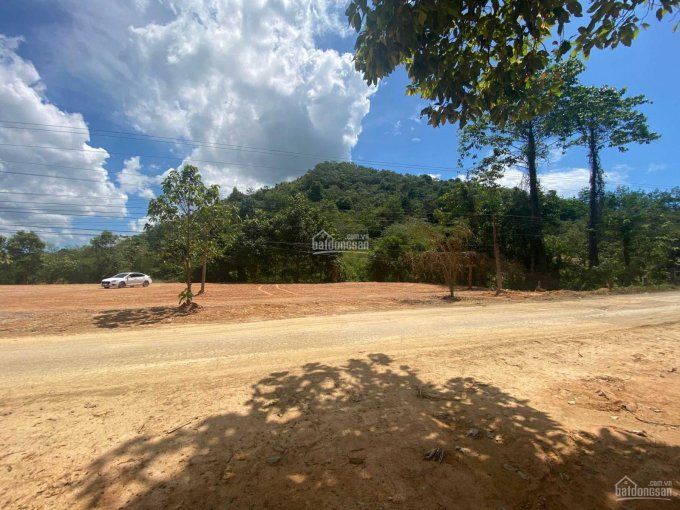 Bán 3 sào đất mặt tiền đường nhựa tại đội 12 xã Đạ Lây, huyện Đạ Tẻh, tỉnh Lâm Đồng