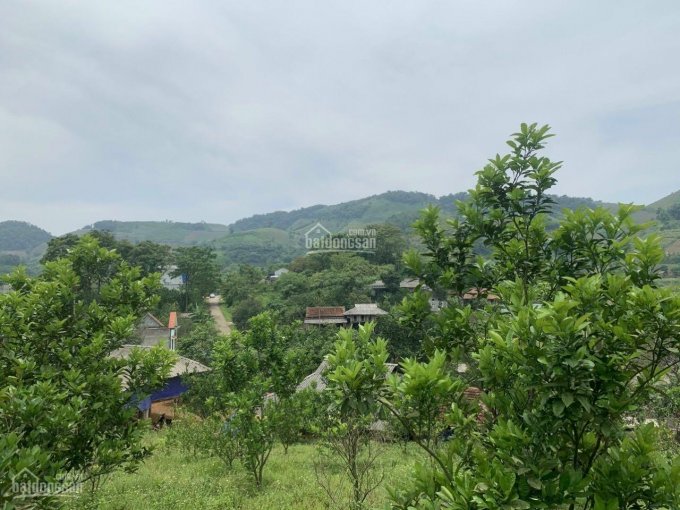 Chưa đến 1tỷ có ngay mảnh đất 3000m2 có sẵn nhà sàn view thoáng sẵn vườn cam bưởi tại Cao Phong HB