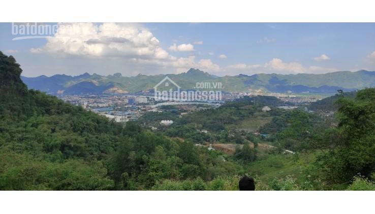 Bán đất phường Tân Thịnh, Hòa Bình, diện tích 10000m2