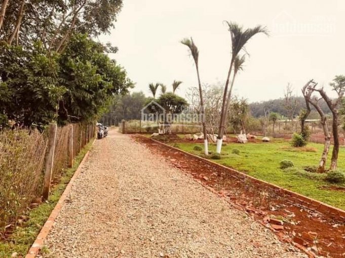 Bán đất vị trí đẹp tại xã Phước Tân, Xuyên Mộc giá rẻ .Thích hợp đầu tư làm Homestay, nhà vườn