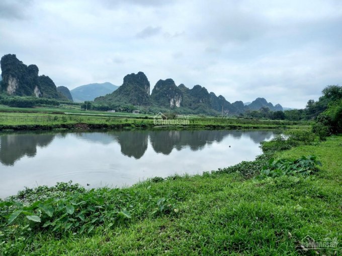 Bán đất lô đất tại xã Hợp Châu, Lương Sơn, Hòa Bình, đất cao, bám suối to. LH: 0988681666
