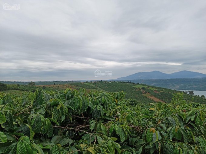 Bán 4.974m2 đất view sông Đồng Nai - xã Liên Hà - huyện Lâm Hà