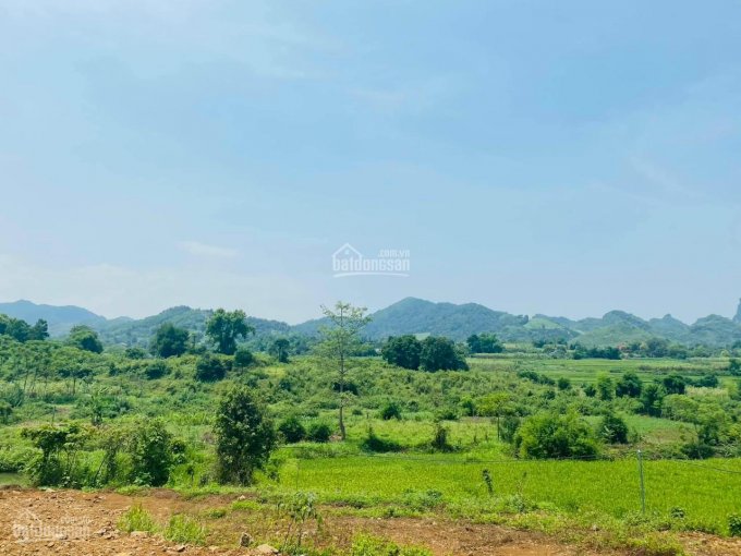 Chỉ với 1.5 tỷ có ngay 4.400m2 đất thổ cư view tuyệt đẹp tại Cao Phong, Hòa Bình