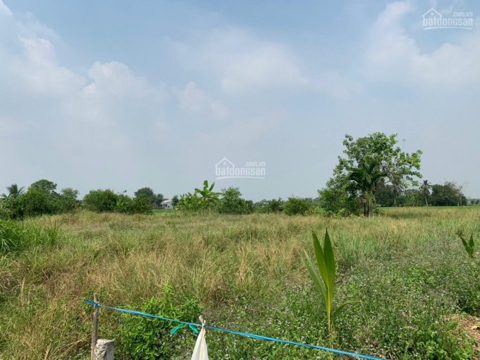 Bán đất xã Long Cang, huyện Cần Đước, tỉnh Long An, 1200m2 thổ cư, giá chỉ 3 tỷ 500
