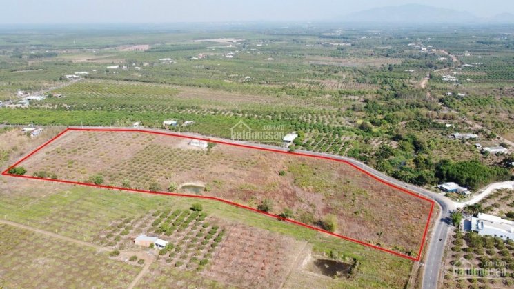 Cần bán đất vườn xã Bình Châu, mặt tiền đường liên xã 12m, sau suối khoáng nóng