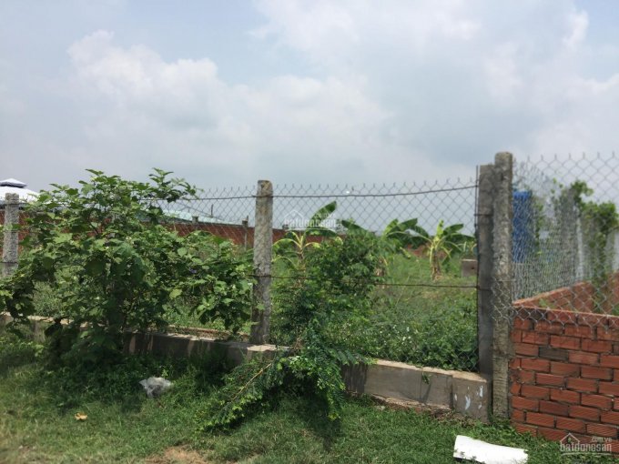 Bán đất thổ vườn làm trang trại hoặc biệt thự sân vườn đường Long Thuận, P. Long Phước, DT đa dạng