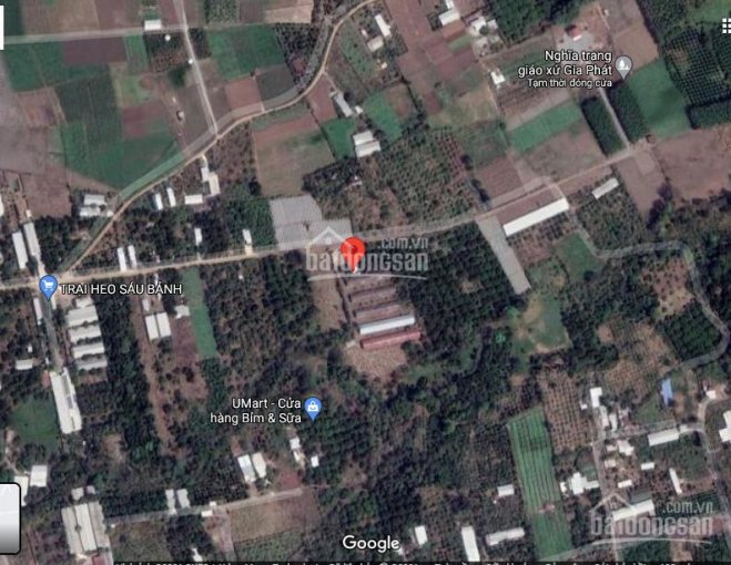Chính chủ cần bán gấp đất tại xã Gia Tân 3, huyện Thống Nhất, tỉnh Đồng Nai