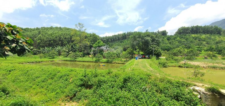 Siêu phẩm đất làm trang trại nhà vườn tuyệt đẹp tại Lạc Thủy, Hòa Bình với diện tích 4ha