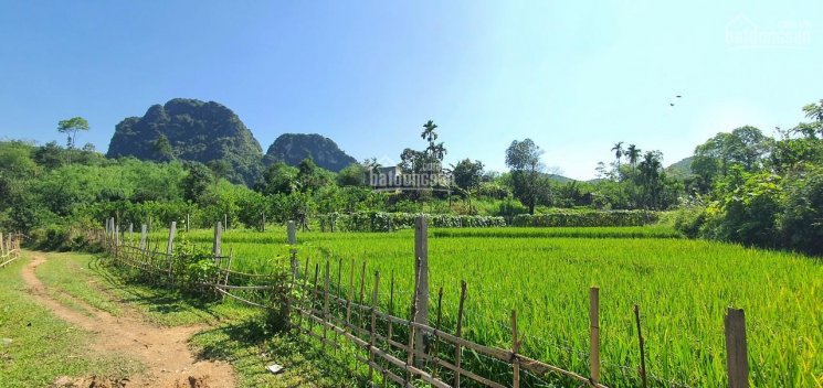 Bán BĐS phân khúc nghỉ dưỡng giá siêu rẻ chỉ có tại Kim Bôi, Hòa Bình diện tích 3.500m2