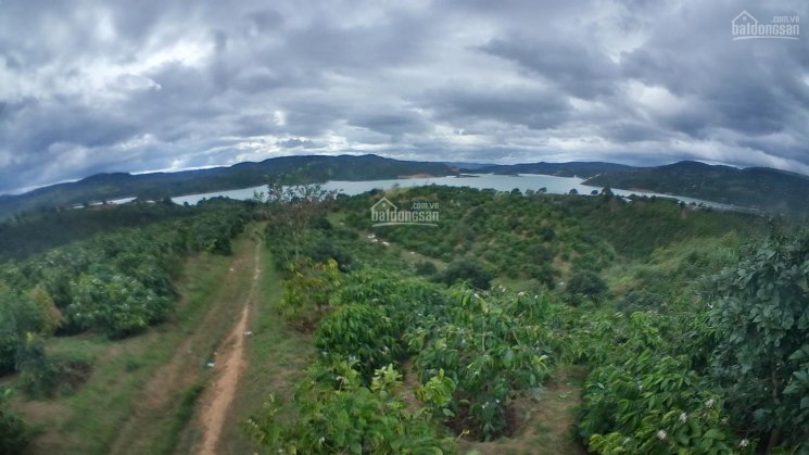 Bán 19318m2 đất view sông Đồng Nai, ở thôn Sình Công xã Liên Hà, huyện Lâm Hà, tỉnh Lâm Đồng