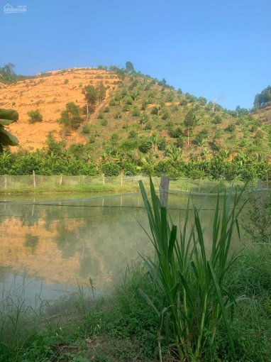 Bán đất vườn tại đội 12 xã Đạ Lây, huyện Đạ Tẻh, tỉnh Lâm Đồng
