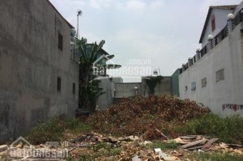 Cần tiền bán gấp đất Nguyễn Tri Phương, Chánh Nghĩa, TDM, 85m2 SHR. 0382859035