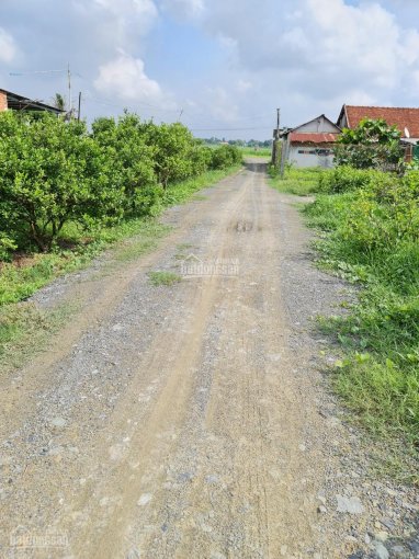 Cần tiền bán gấp lô đất nền full thổ cư gần BV Xuyên Á Gò Dầu, Tây Ninh