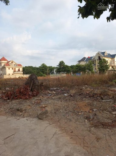 Bán nhanh lô đất chính chủ phường Tân Bình, Dĩ An, 85m2, thổ cư 100%, SHR