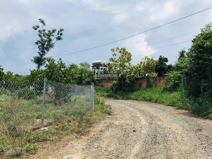 Tôi chính chủ cần bán lô đất làm vườn tại xã Túc Trưng, huyện Định Quán, tỉnh Đồng Nai.