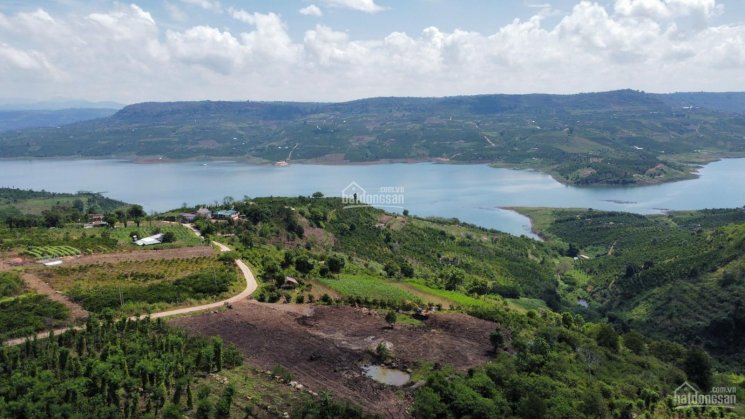 6200m2 đất view sông Đồng Nai, nhìn bao quát sông mặt tiền đường bê tông