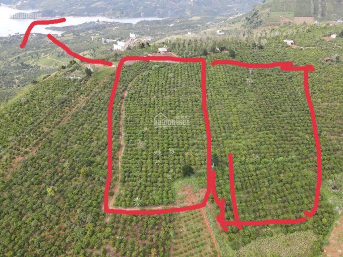 Bán 4.974m2 đất view sông Đồng Nai - xã Liên Hà - huyện Lâm Hà