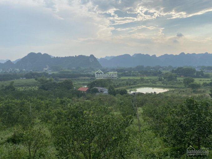 Bán đất Phú Thành, Lạc Thủy, Hòa Bình, vị trí trung tâm, cách đường QL21 chỉ 500m. DT thực tế 7ha