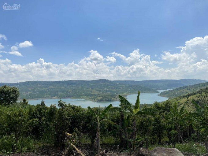 6200m2 đất view sông Đồng Nai, nhìn bao quát sông mặt tiền đường bê tông