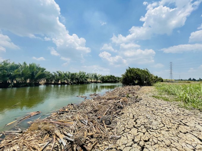 Đất mặt tiền sông Phước Khánh, đường xe hơi, làm nhà vườn sử dụng được ngay, bán nhanh giá 2,2 tỷ