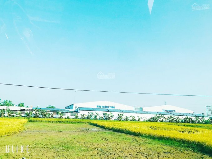 Bán lô đất nền gần nút giao cao tốc Bi Kiều, Thanh Hóa, DT 161m2, MT 7m, giá 885 triệu