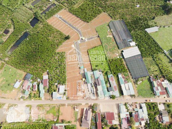 Bán đất nghỉ dưỡng ngay sát TP Bảo Lộc, view thung lũng sổ hồng riêng sẵn thổ cư